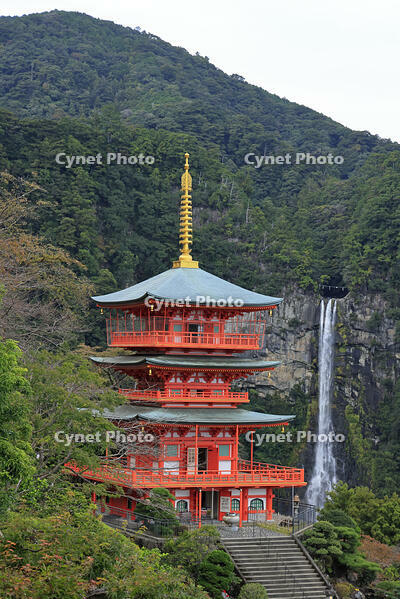 青岸渡寺の三重塔と那智の滝 [GMA110011695]