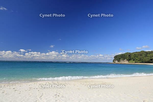 南紀白浜の白良浜 [GMA110011709]