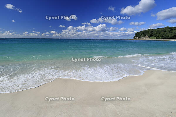 南紀白浜の白良浜 [GMA110011712]