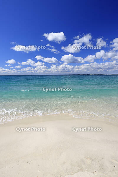 南紀白浜の白良浜 [GMA110011716]