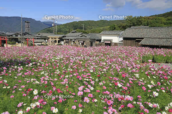 小豆島の二十四の瞳映画村 [GMA110011725]