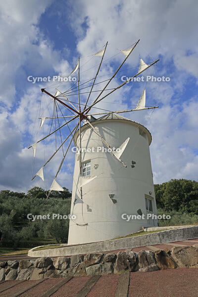 小豆島オリーブ公園 [GMA110011727]