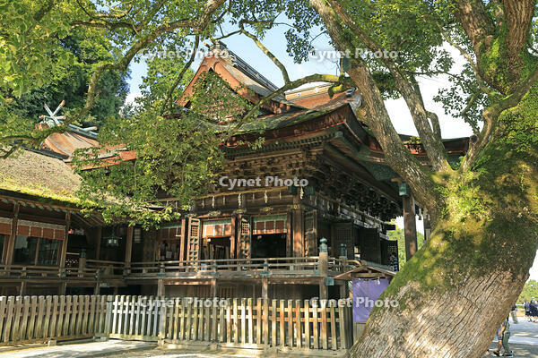 金刀比羅宮の御本宮 [GMA110011736]