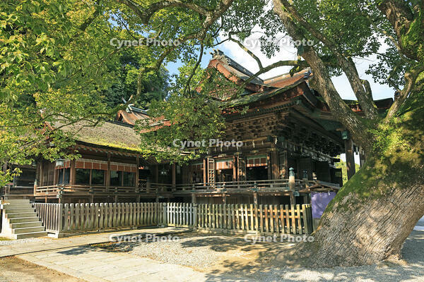 金刀比羅宮の御本宮 [GMA110011737]