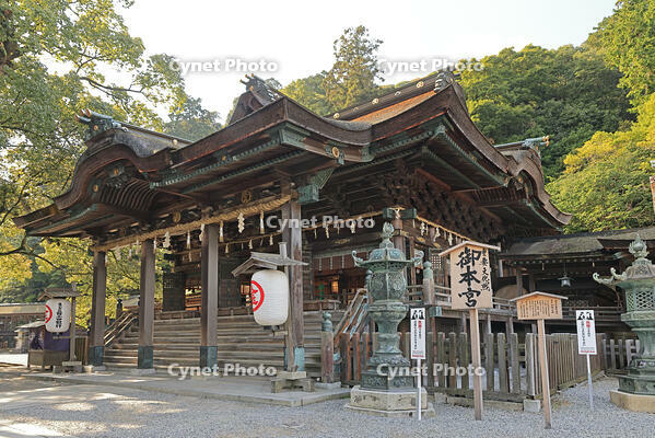 金刀比羅宮の御本宮 [GMA110011738]