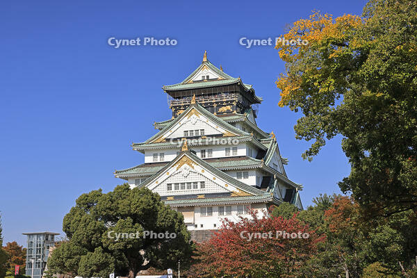 秋の大阪城 [GMA110011751]