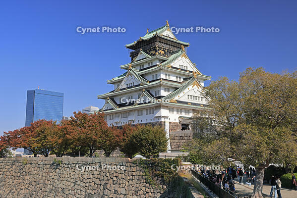 秋の大阪城 [GMA110011752]