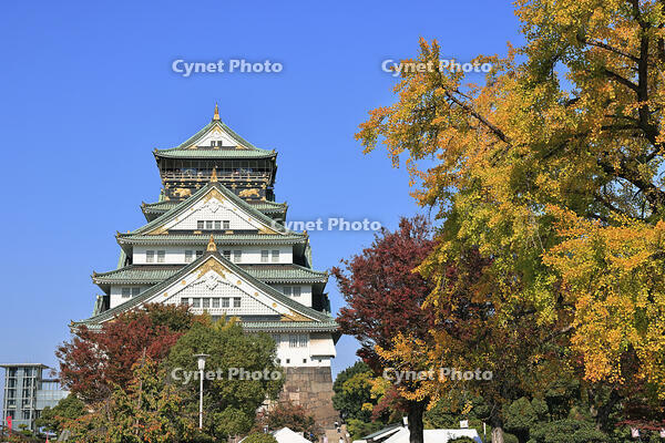 秋の大阪城 [GMA110011755]