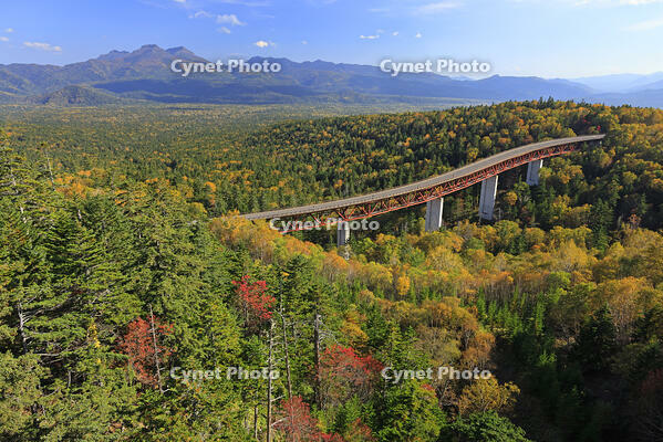 三国峠の紅葉と松見大橋 [GMA110011757]