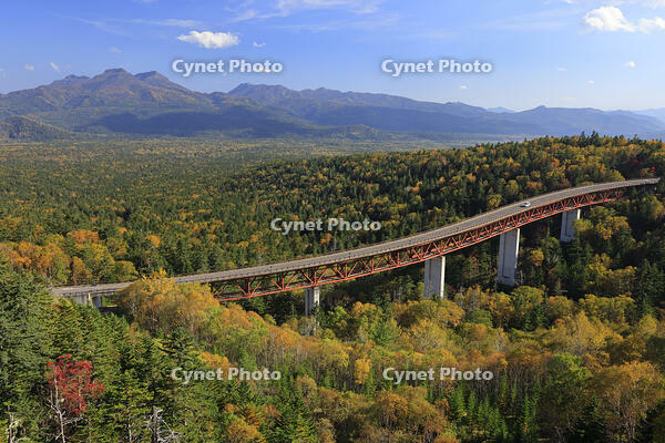 三国峠の紅葉と松見大橋 [GMA110011759]