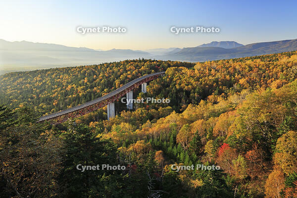 紅葉の三国峠の朝と松見大橋 [GMA110011779]