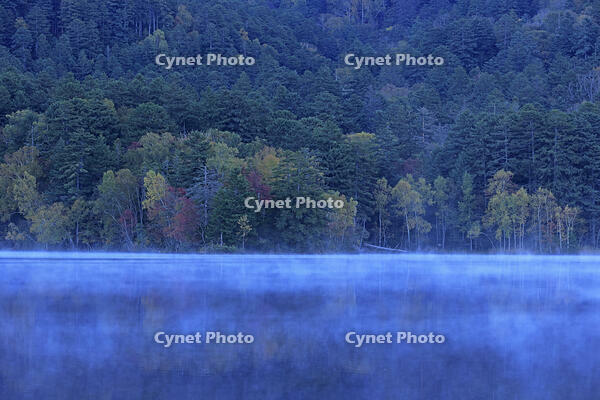 紅葉するオンネトー湖畔と朝もや [GMA110011791]
