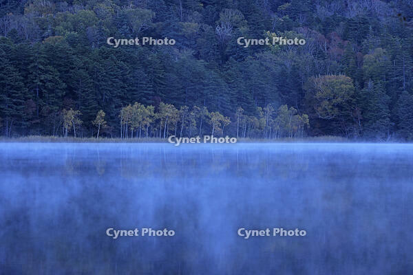 紅葉するオンネトー湖畔と朝もや [GMA110011792]