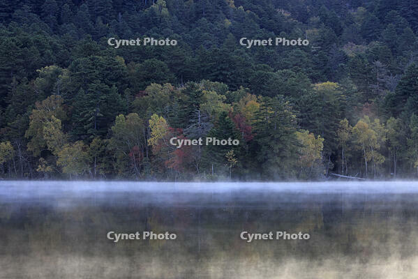 紅葉するオンネトー湖畔と朝もや [GMA110011795]