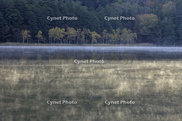 紅葉するオンネトー湖畔と朝もや [GMA110011796]