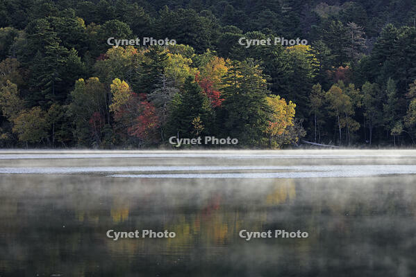紅葉するオンネトー湖畔と朝もや [GMA110011797]
