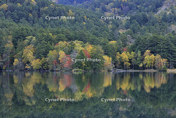 紅葉するオンネトー湖畔 [GMA110011799]