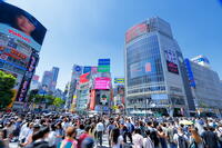 新緑の渋谷のスクランブル交差点 [THI110053102]