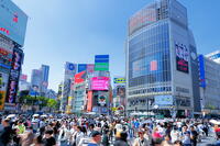 新緑の渋谷のスクランブル交差点 [THI110053105]