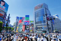 新緑の渋谷のスクランブル交差点 [THI110053106]
