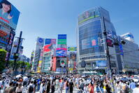 新緑の渋谷のスクランブル交差点 [THI110053107]