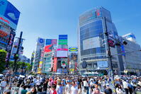 新緑の渋谷のスクランブル交差点 [THI110053108]