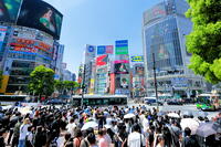 新緑の渋谷のスクランブル交差点 [THI110053109]