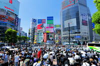新緑の渋谷のスクランブル交差点 [THI110053110]