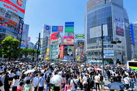 新緑の渋谷のスクランブル交差点 [THI110053111]