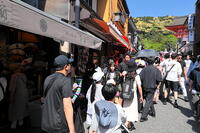 清水寺の参道のにぎわい [THI110053165]