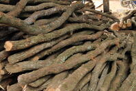 紀州備長炭の炭窯と紀州備長炭 [THI110053277]