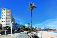 白良浜の地震津波の避難看板と緊急用のホーンスピーカー　 [THI110053293]