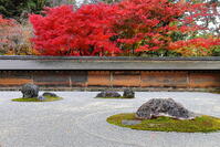 紅葉の龍安寺の石庭　 [THI110053305]