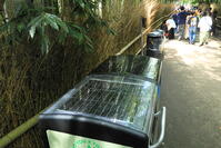 嵐山の竹林のスマートごみ箱 [THI110053312]