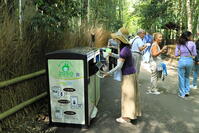 嵐山の竹林のスマートごみ箱 [THI110053327]