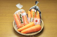 日本地理的表示のマークがつけられた雪下人参 [THI110053342]