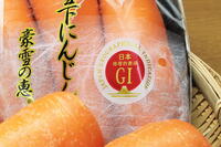 日本地理的表示のマークがつけられた雪下人参 [THI110053343]