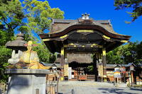 新緑の豊国神社 [THI110053344]