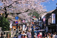 春の清水寺への参道のにぎわい [THI110053352]