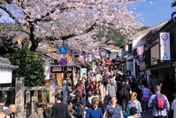春の清水寺への参道のにぎわい [THI110053353]