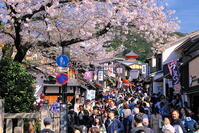 春の清水寺への参道のにぎわい [THI110053354]