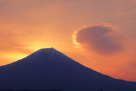 日の出前の富士山と田貫湖　 [THI110053359]