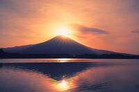 日の出の富士山と田貫湖 [THI110053362]