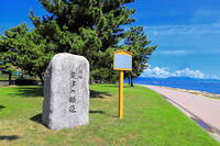 粟津の青嵐と湖岸の道路 [THI110053372]