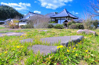 春の川原寺跡 [THI110053392]