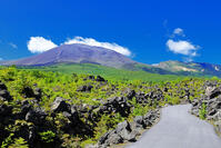 浅間山の麓に広がる溶岩の鬼押出し園 [THI110053421]