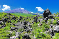 浅間山の麓に広がる溶岩の鬼押出し園 [THI110053422]