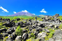 浅間山の麓に広がる溶岩の鬼押出し園 [THI110053424]
