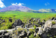 浅間山の麓に広がる溶岩の鬼押出し園 [THI110053428]