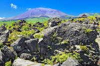 浅間山の麓に広がる溶岩の鬼押出し園 [THI110053430]